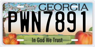 GA license plate PWN7891
