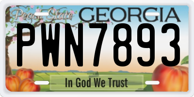 GA license plate PWN7893