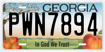 GA license plate PWN7894