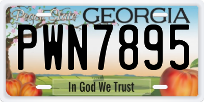 GA license plate PWN7895