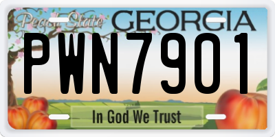 GA license plate PWN7901