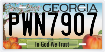 GA license plate PWN7907