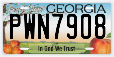 GA license plate PWN7908