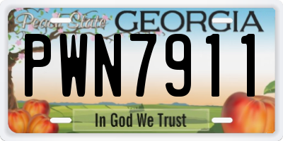 GA license plate PWN7911