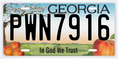 GA license plate PWN7916