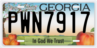GA license plate PWN7917