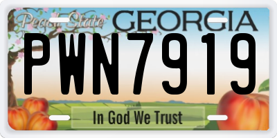 GA license plate PWN7919