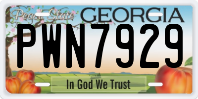 GA license plate PWN7929