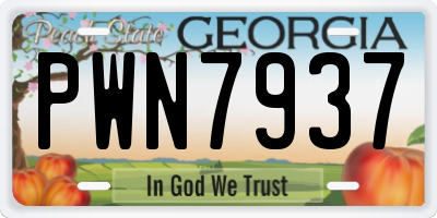 GA license plate PWN7937