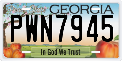 GA license plate PWN7945