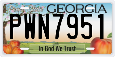 GA license plate PWN7951