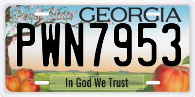 GA license plate PWN7953