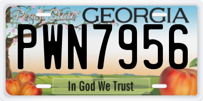 GA license plate PWN7956