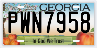 GA license plate PWN7958