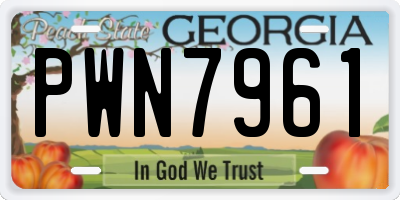 GA license plate PWN7961