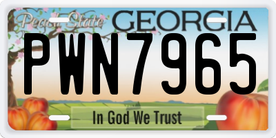 GA license plate PWN7965