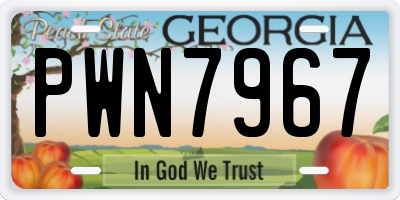 GA license plate PWN7967