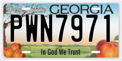 GA license plate PWN7971