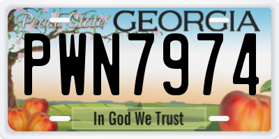 GA license plate PWN7974