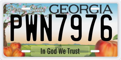 GA license plate PWN7976