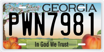GA license plate PWN7981