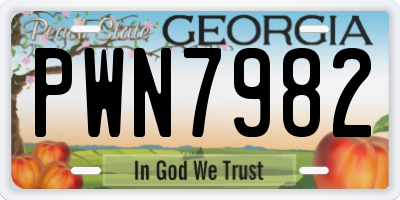 GA license plate PWN7982