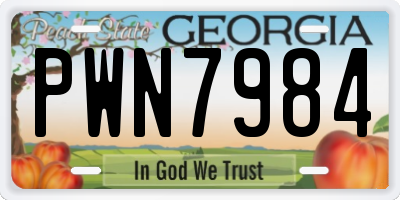 GA license plate PWN7984
