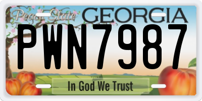 GA license plate PWN7987