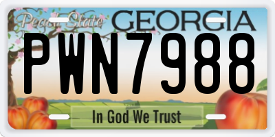 GA license plate PWN7988