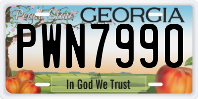 GA license plate PWN7990