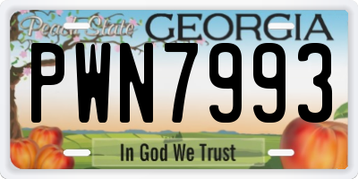 GA license plate PWN7993