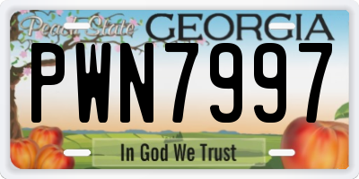 GA license plate PWN7997