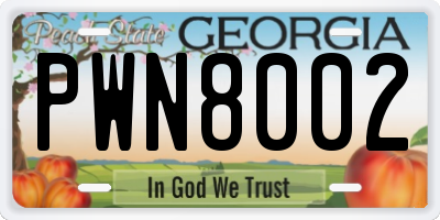 GA license plate PWN8002