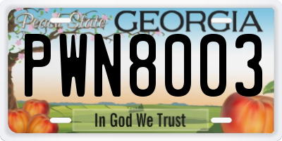 GA license plate PWN8003