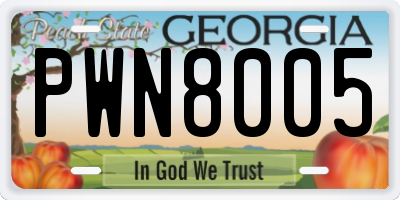 GA license plate PWN8005