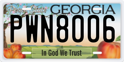 GA license plate PWN8006
