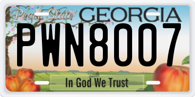 GA license plate PWN8007
