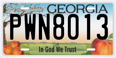 GA license plate PWN8013