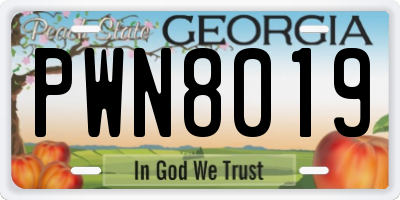 GA license plate PWN8019