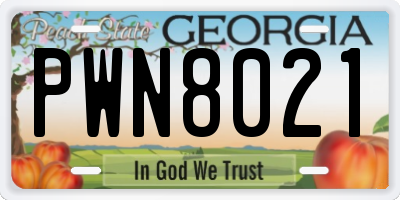 GA license plate PWN8021