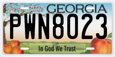 GA license plate PWN8023