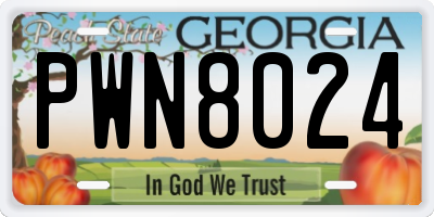 GA license plate PWN8024