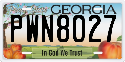 GA license plate PWN8027
