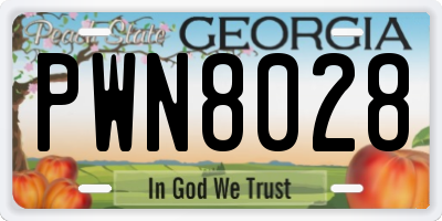 GA license plate PWN8028