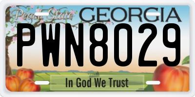 GA license plate PWN8029