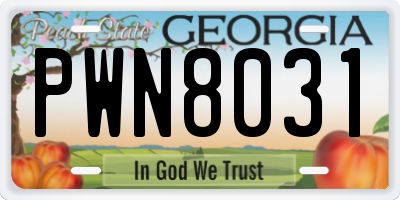 GA license plate PWN8031