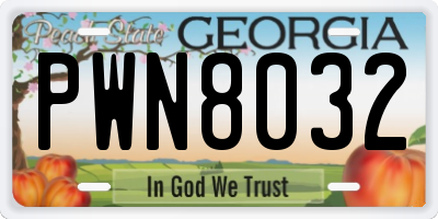 GA license plate PWN8032