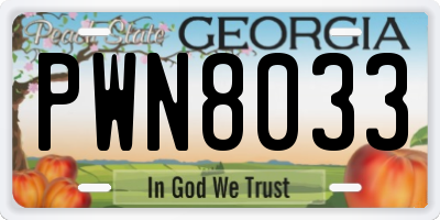 GA license plate PWN8033