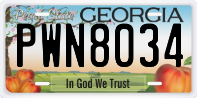 GA license plate PWN8034