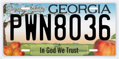 GA license plate PWN8036